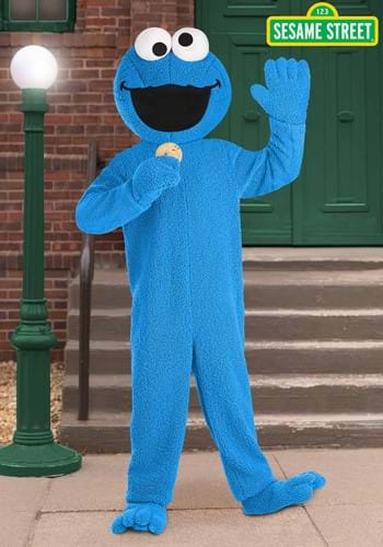 Adult Cookie Monster Mascot Costume