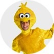 Big Bird Costumes