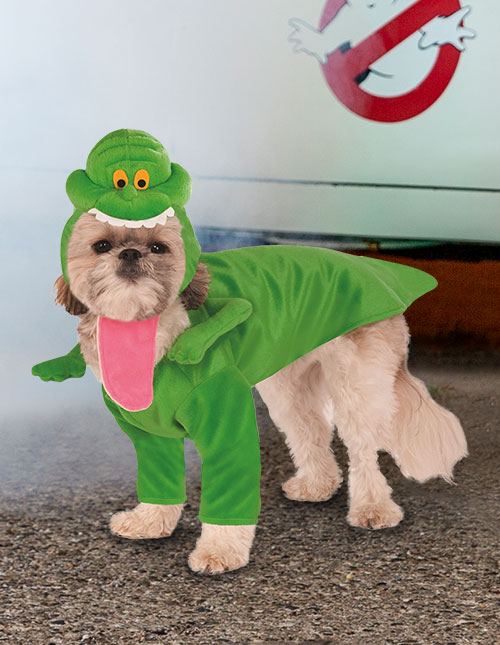 Slimer Dog Costume