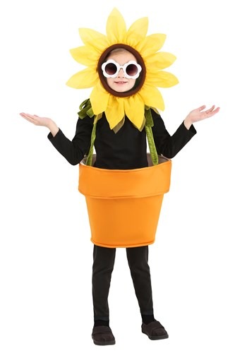 Toddler Flower Pot Costume