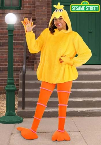 Womens Cozy Big Bird Costume