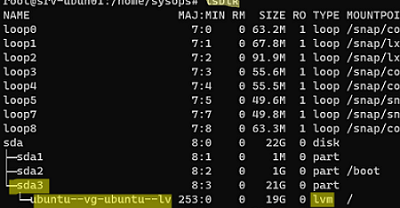 lsblk - check if LVM volumes are used on Ubuntu