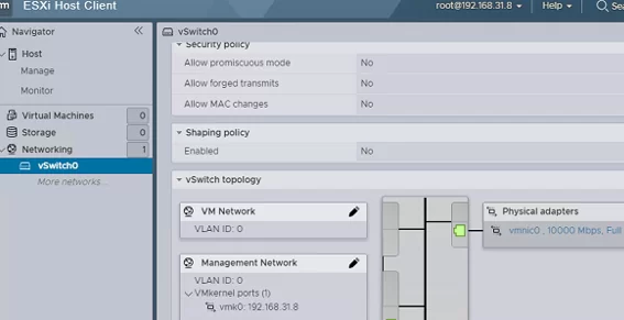 esxi networking vswitch0