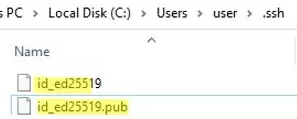 public and private ssh keys in user profile on windows